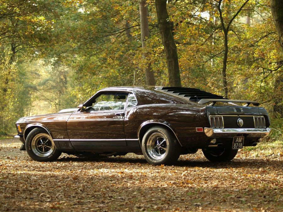  Ford Mustang Mach I 1970 года  (фото 3 из 35)